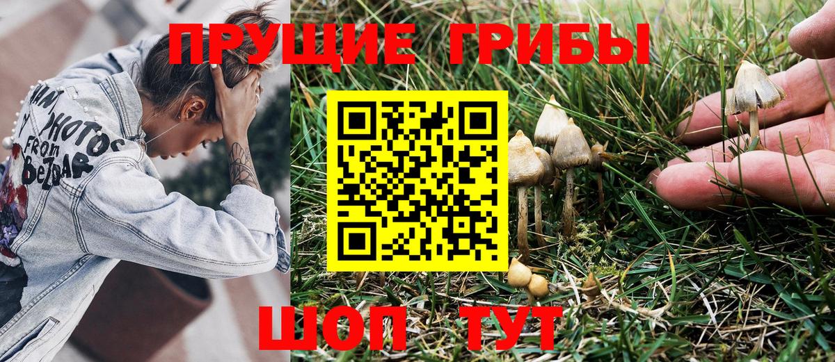 Псилоцибиновые грибы Psilocybine cubensis Нефтеюганск